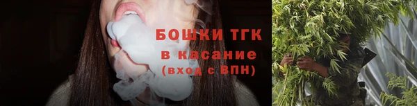 твердый Инсар