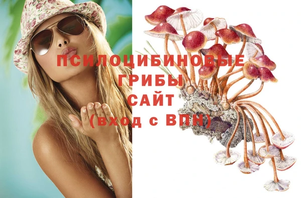герыч Каменногорск