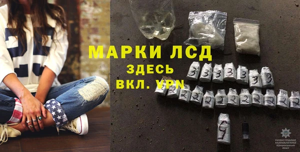 МДПВ Каменка