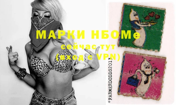 МДПВ Каменка
