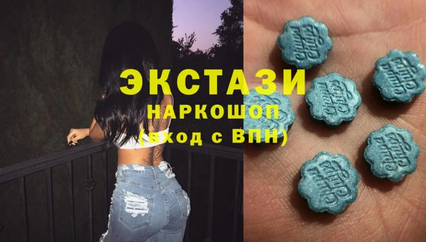 МДПВ Каменка