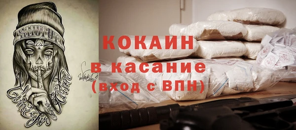 МДПВ Каменка