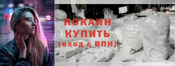 МДПВ Каменка