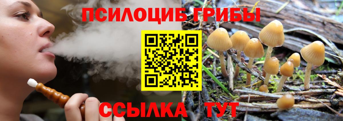 Прокопьевск  Галлюциногенные грибы Cubensis  Вход с VPN 