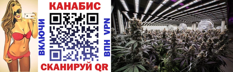 Шишки марихуана LSD WEED  МЕГА как зайти  Прокопьевск 